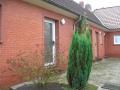 Haus 5