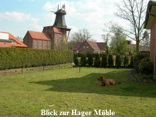 Garten H4