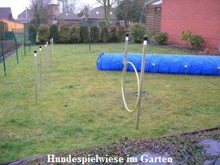 Hundewiese
