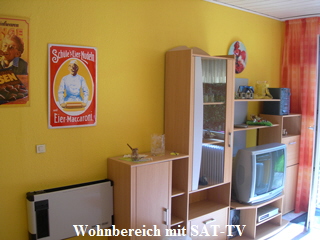 Sat-TV