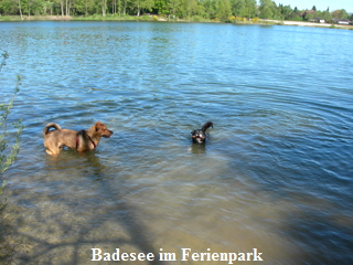 Badesee