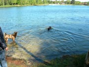 Hundeurlaub am See