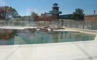 Seehundstation