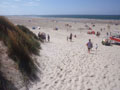 Hundeurlaub am Strand